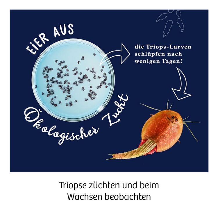 Produktbild: Fun Science Triops z&uuml;chten