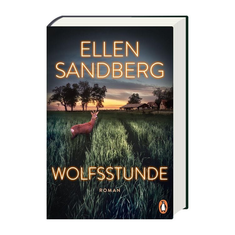 Produktbild: Wolfsstunde