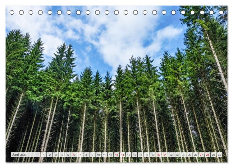 Produktbild: Nationalpark Eifel - Sch&ouml;ne Tage im Gr&uuml;nen (Tischkalender 2026 DIN A5 quer), CALVENDO Monatskalender