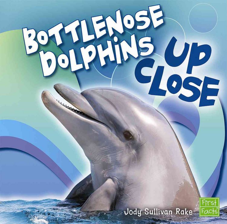 Produktbild: Bottlenose Dolphins Up Close