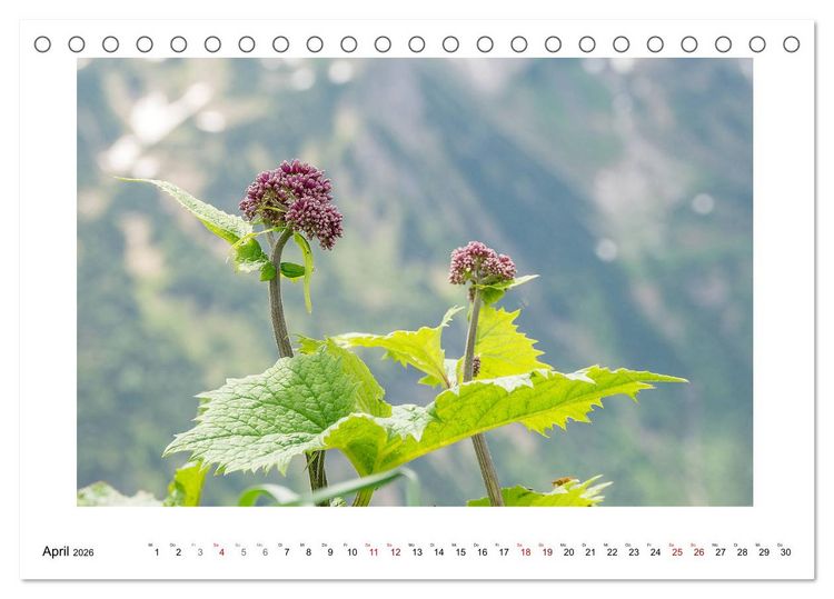 Produktbild: Naturwunder Bergwelt Fellhorn und H&ouml;rnergruppe (Tischkalender 2026 DIN A5 quer), CALVENDO Monatskalender