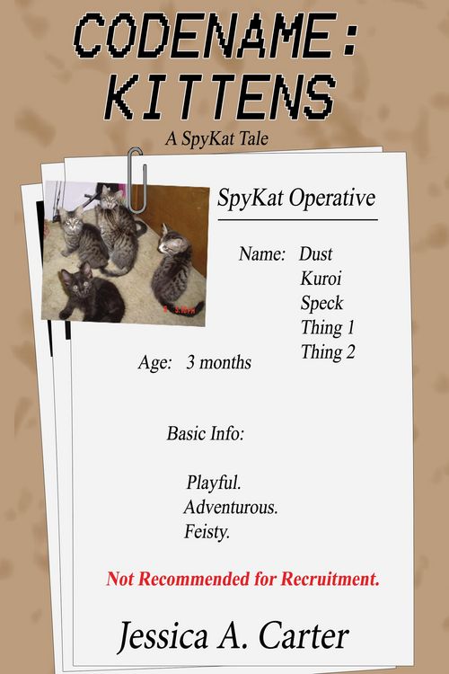 Produktbild: Codename: Kittens (The SpyKat Tales, #6)