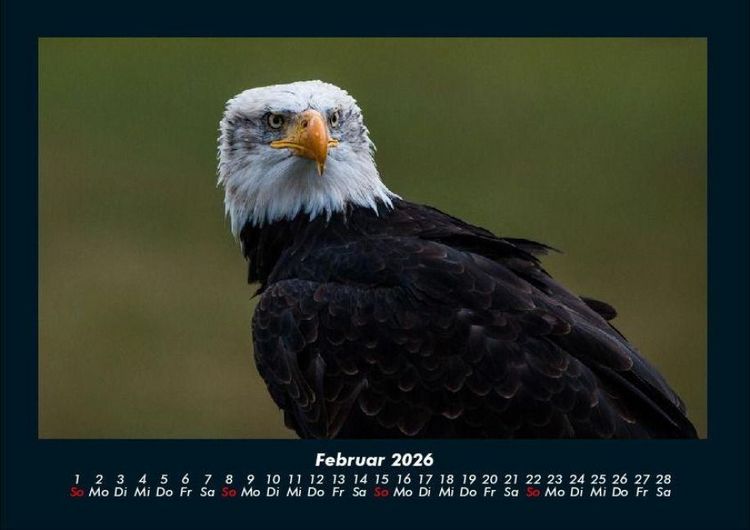 Produktbild: Adler 2026 Fotokalender DIN A4