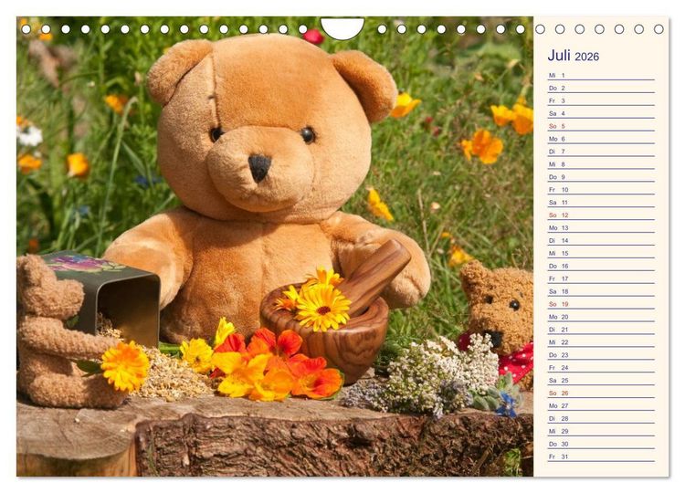 Produktbild: Geliebte B&auml;ren - Teddys (Wandkalender 2026 DIN A4 quer), CALVENDO Monatskalender