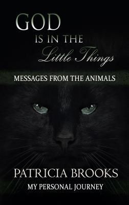 Produktbild: God is in the Little Things