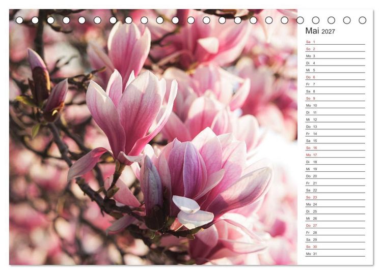 Produktbild: Blumenfreude Terminkalender (Tischkalender 2027 DIN A5 quer), CALVENDO Monatskalender
