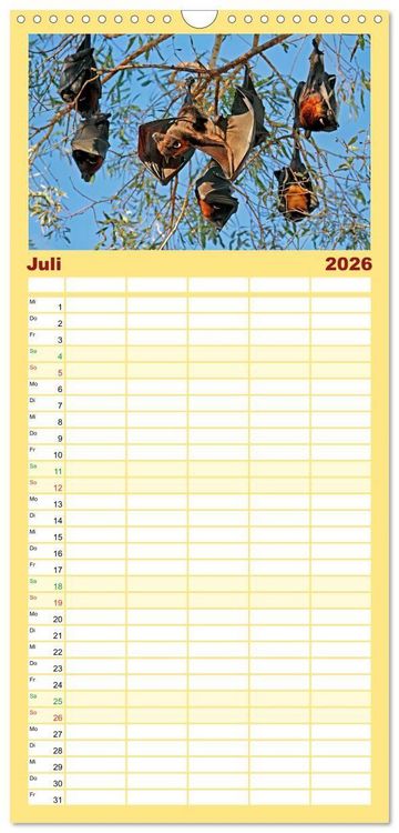 Produktbild: Familienplaner 2026 - Flughunde - Meister der Nacht mit 5 Spalten (Wandkalender, 21 x 45 cm) CALVENDO