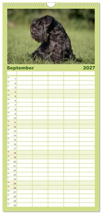 Produktbild: Familienplaner 2027 - Schnauzer... von Zwergen und Riesen 2027 mit 5 Spalten (Wandkalender, 21 x 45 cm) CALVENDO