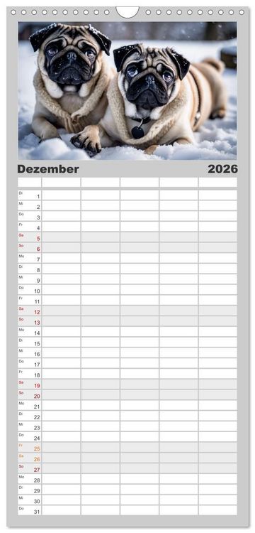 Produktbild: Familienplaner 2026 - M&ouml;pse - quirlige Charmebolzen mit 5 Spalten (Wandkalender, 21 x 45 cm) CALVENDO