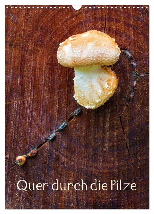 Produktbild: Quer durch die Pilze (Wandkalender 2026 DIN A3 hoch), CALVENDO Monatskalender
