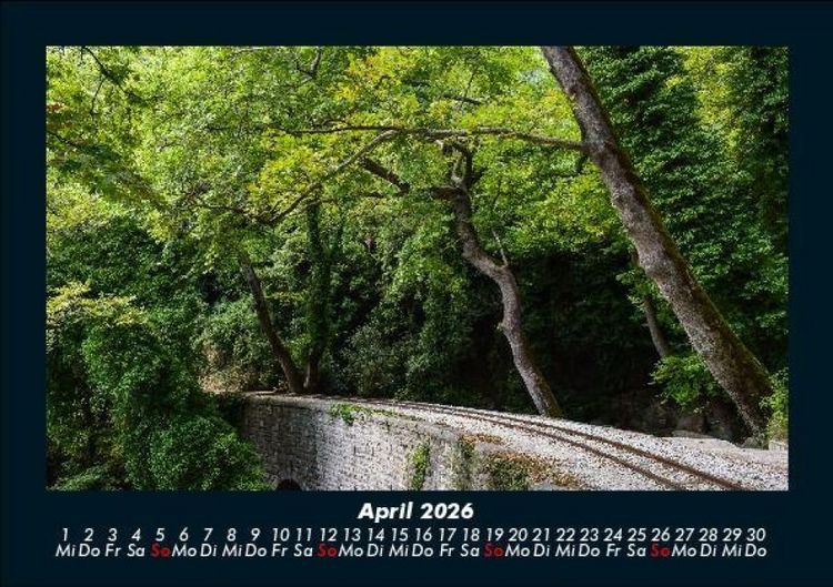 Produktbild: B&auml;ume 2026 Fotokalender DIN A5