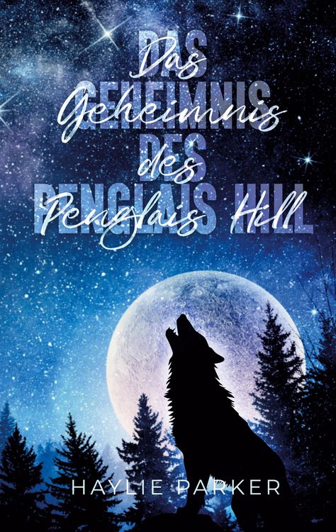 Produktbild: Das Geheimnis des Penglais Hill