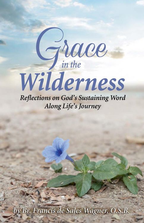 Produktbild: Grace in the Wilderness