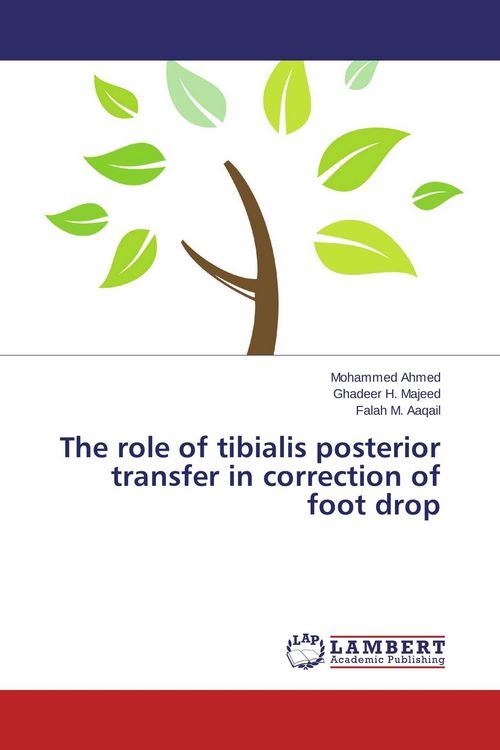 Produktbild: The role of tibialis posterior transfer in correction of foot drop