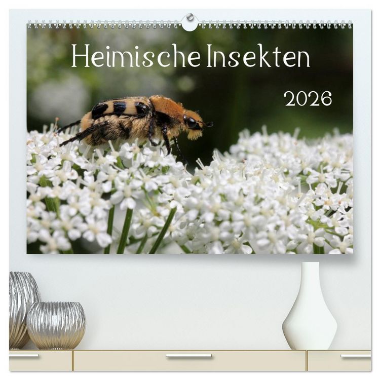 Produktbild: Heimische Insekten 2026 (hochwertiger Premium Wandkalender 2026 DIN A2 quer), Kunstdruck in Hochglanz