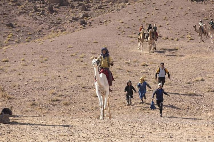 Produktbild: Prinzen der W&uuml;ste