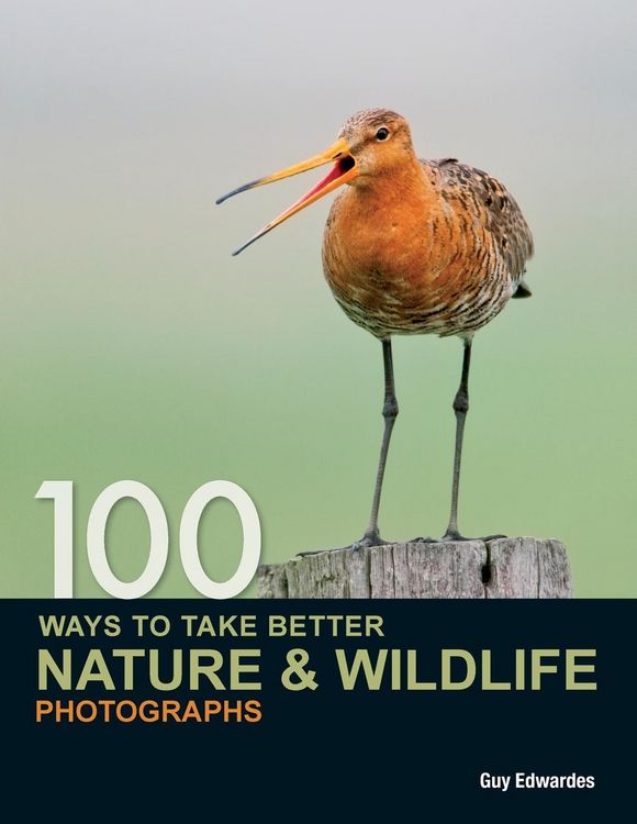 Produktbild: 100 Ways to Take Better Nature & Wildlife Photographs