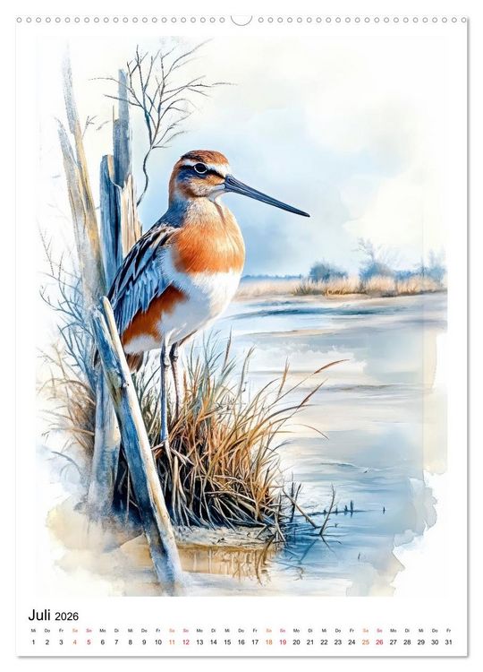 Produktbild: V&ouml;gel - gefiederte Freunde in Wald und Feld (Wandkalender 2026 DIN A2 hoch), CALVENDO Monatskalender