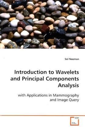 Produktbild: Neeman, s: Introduction to Wavelets and Principal Components