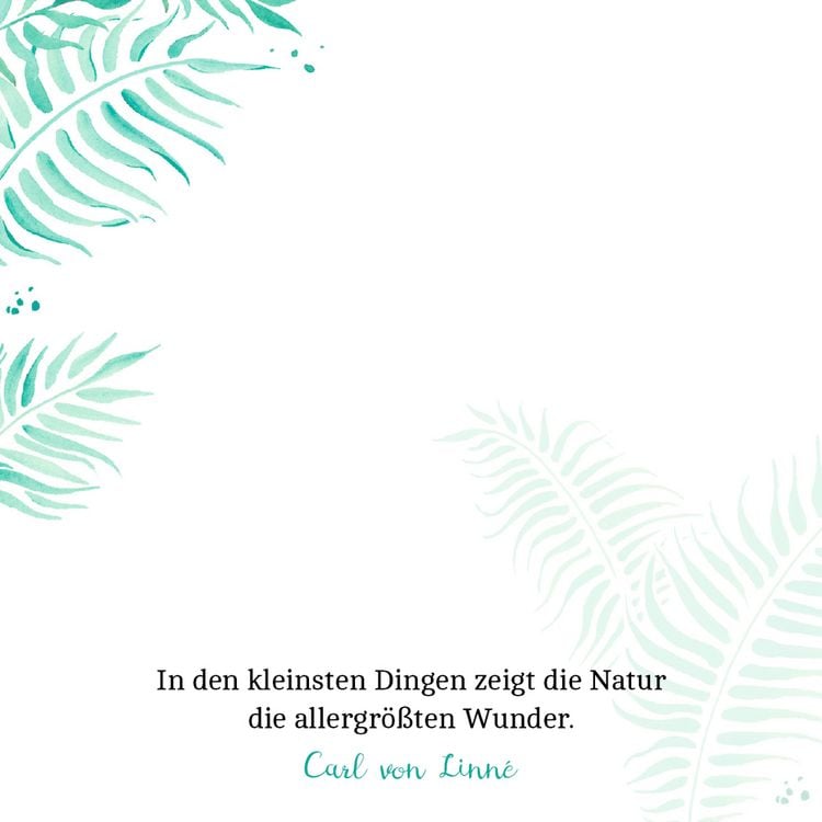 Produktbild: Zettelk&auml;stchen