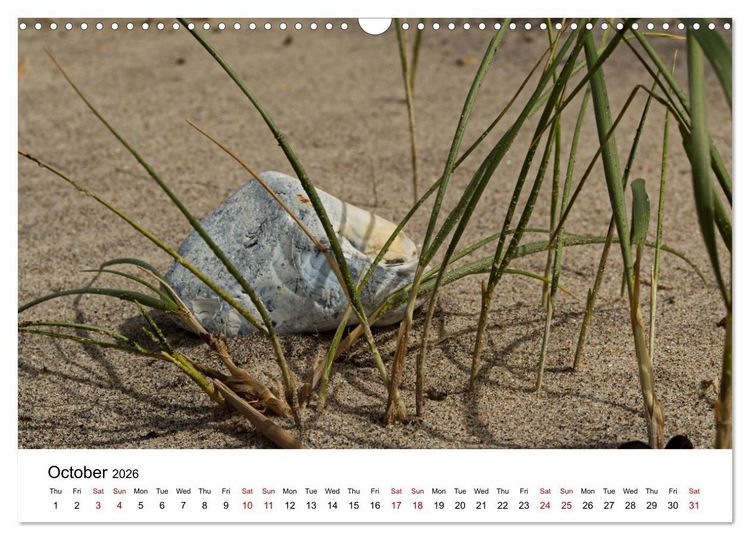 Produktbild: The Sea - A place for dreams (Wall Calendar 2026 DIN A3 landscape), CALVENDO 12 Month Wall Calendar