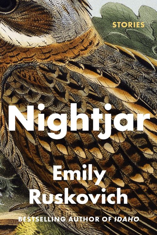 Produktbild: Nightjar