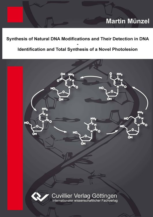 Produktbild: Synthese nat&uuml;rlicher DNA Modifikationen und deren Detektion in DNA - Identifikation und Totalsynthese eines neuartigen DNA Photoschadens