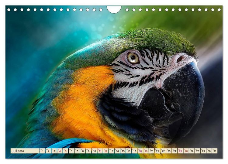 Produktbild: Mein bunter Papagei (Wandkalender 2026 DIN A4 quer), CALVENDO Monatskalender