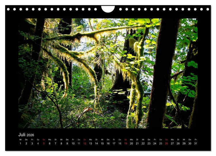 Produktbild: W&auml;lder, fotografiert auf vier Kontinenten (Wandkalender 2026 DIN A4 quer), CALVENDO Monatskalender