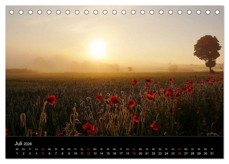 Produktbild: Wilde Bl&uuml;ten-Tr&auml;ume (Tischkalender 2026 DIN A5 quer), CALVENDO Monatskalender