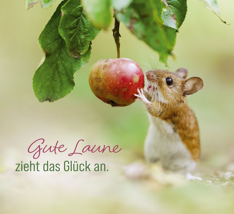 Produktbild: Kleine Gl&uuml;cksbringer f&uuml;r dich