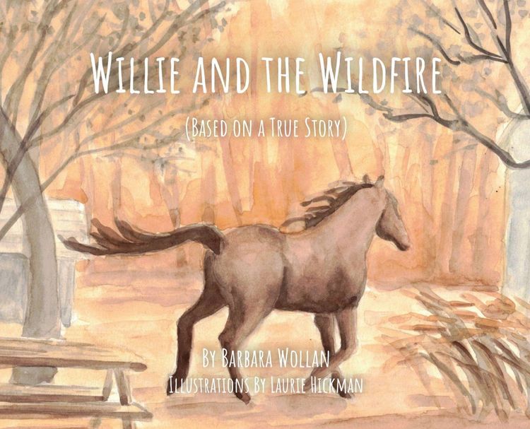 Produktbild: Willie and the Wildfire