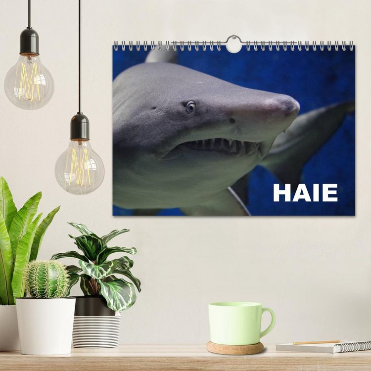 Produktbild: Haie (Wandkalender 2026 DIN A4 quer), CALVENDO Monatskalender
