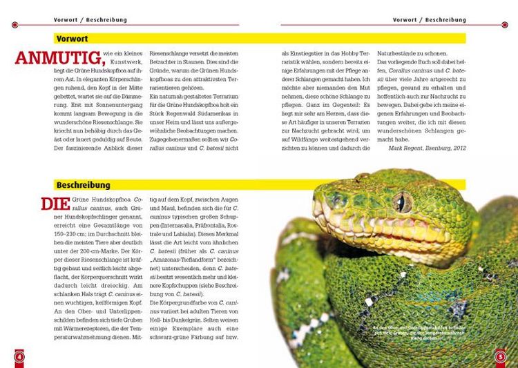 Produktbild: Gr&uuml;ne Hundskopfschlinger