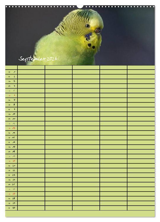 Produktbild: Der Wellensittich-Familienplaner (hochwertiger Premium Wandkalender 2026 DIN A2 hoch), Kunstdruck in Hochglanz