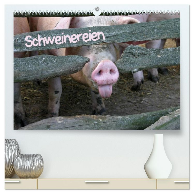 Produktbild: Schweinereien (hochwertiger Premium Wandkalender 2026 DIN A2 quer), Kunstdruck in Hochglanz