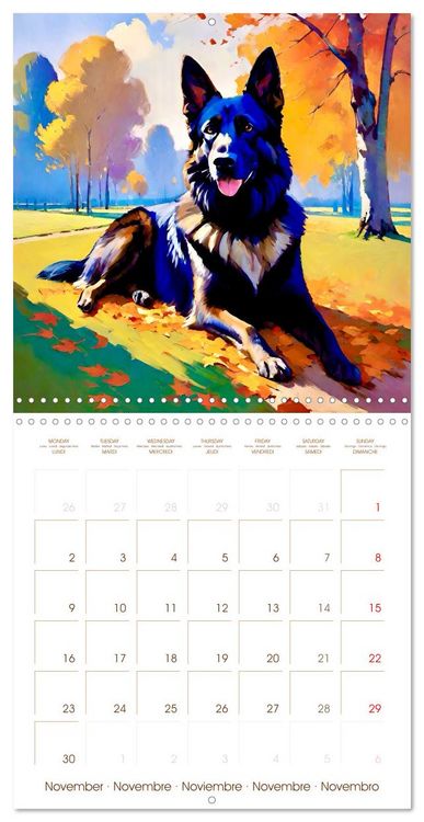 Produktbild: German Shepherd. The majestic character of a noble breed (Wall Calendar 2026 12 &times; 12 Inch) CALVENDO 12 Month Wall Calendar