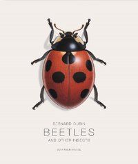 Produktbild: Bugs and Other Insects