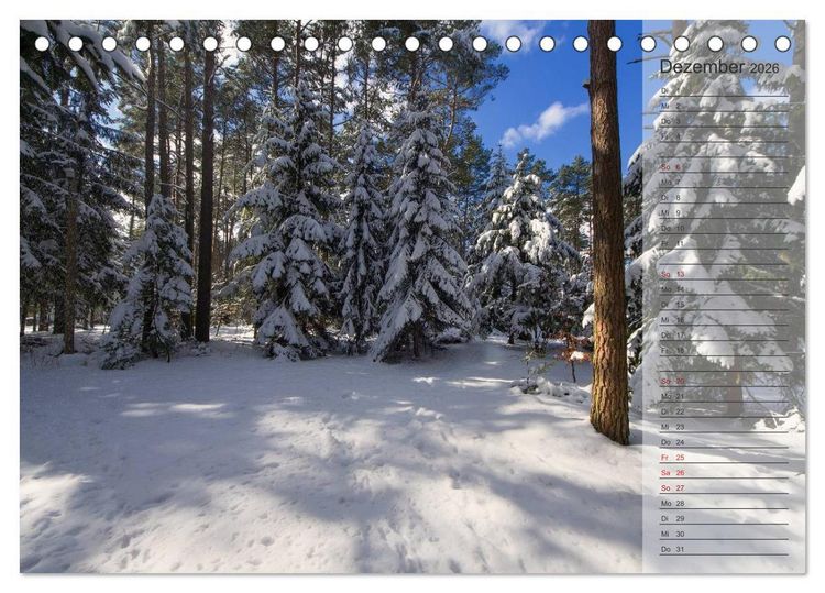 Produktbild: Unser Wald - Magische Sichten in norddeutsche W&auml;lder / Geburtstagskalender (Tischkalender 2026 DIN A5 quer), CALVENDO Monatskalender