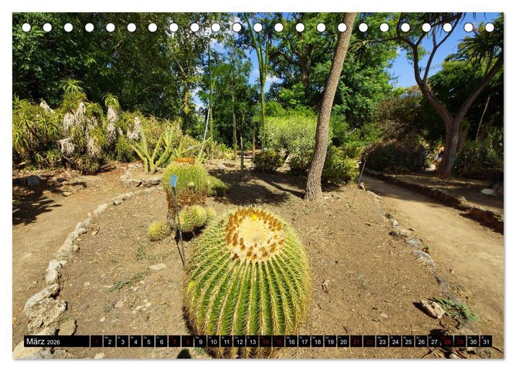Produktbild: Botanischer Garten Palermo (Tischkalender 2026 DIN A5 quer), CALVENDO Monatskalender