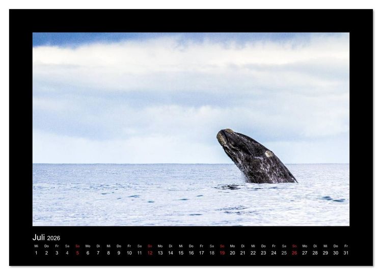 Produktbild: S&uuml;dafrika - Garden Route (Wandkalender 2026 DIN A2 quer), CALVENDO Monatskalender