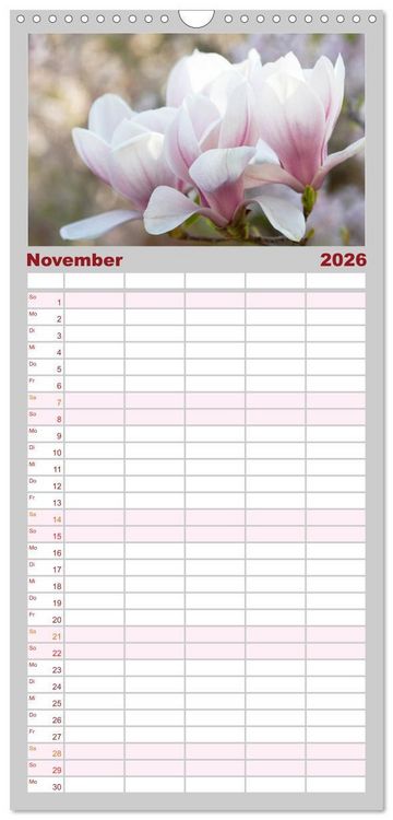 Produktbild: Familienplaner 2026 - Magnolien Ein Bl&uuml;tenrausch mit 5 Spalten (Wandkalender, 21 x 45 cm) CALVENDO