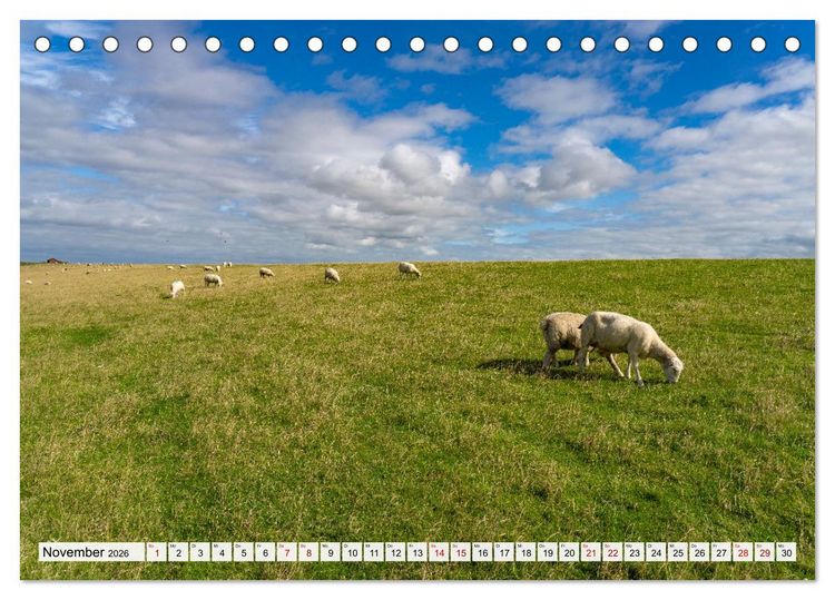 Produktbild: Schleswig-Holstein - Nordfriesland (Tischkalender 2026 DIN A5 quer), CALVENDO Monatskalender