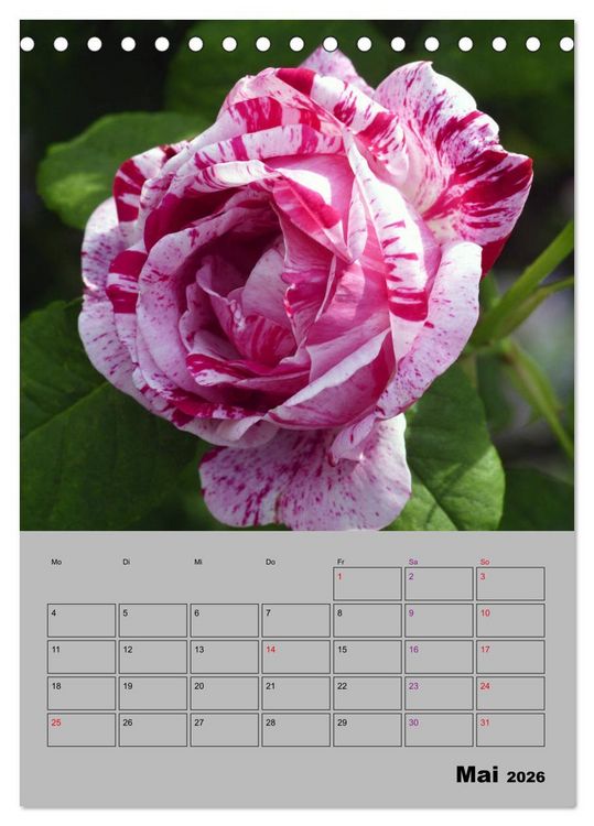 Produktbild: Rosen - Symbol der Liebe und Verehrung (Tischkalender 2026 DIN A5 hoch), CALVENDO Monatskalender