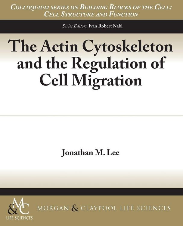 Produktbild: The Actin Cytoskeleton and the Regulation of Cell Migration