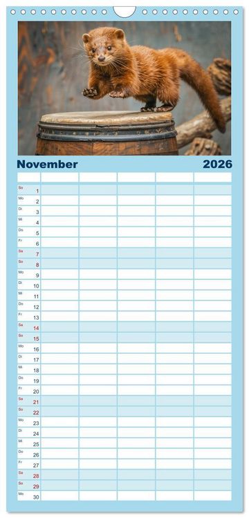 Produktbild: Familienplaner 2026 - Kleine freche Nerze mit 5 Spalten (Wandkalender, 21 x 45 cm) CALVENDO