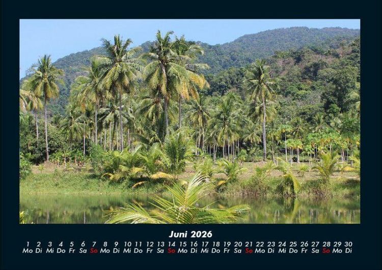 Produktbild: Palmentraum 2026 Fotokalender DIN A4
