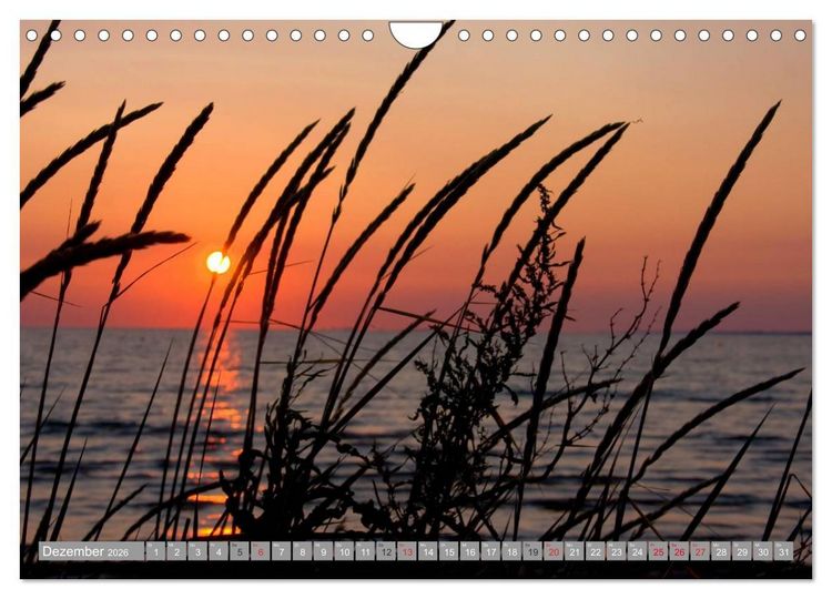 Produktbild: D&auml;nemark - Ostseek&uuml;ste (Wandkalender 2026 DIN A4 quer), CALVENDO Monatskalender