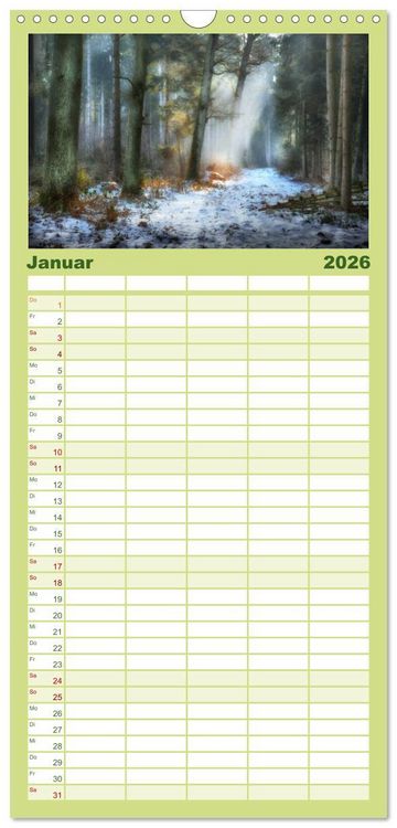Produktbild: Familienplaner 2026 - Waldkalender mit 5 Spalten (Wandkalender, 21 x 45 cm) CALVENDO