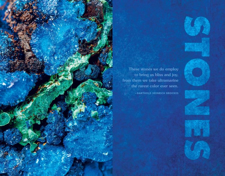 Produktbild: Blue - In Search of Nature`s Rarest Color
